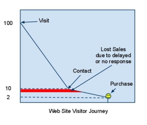 don't forget the customer | web-site visitor interactions
